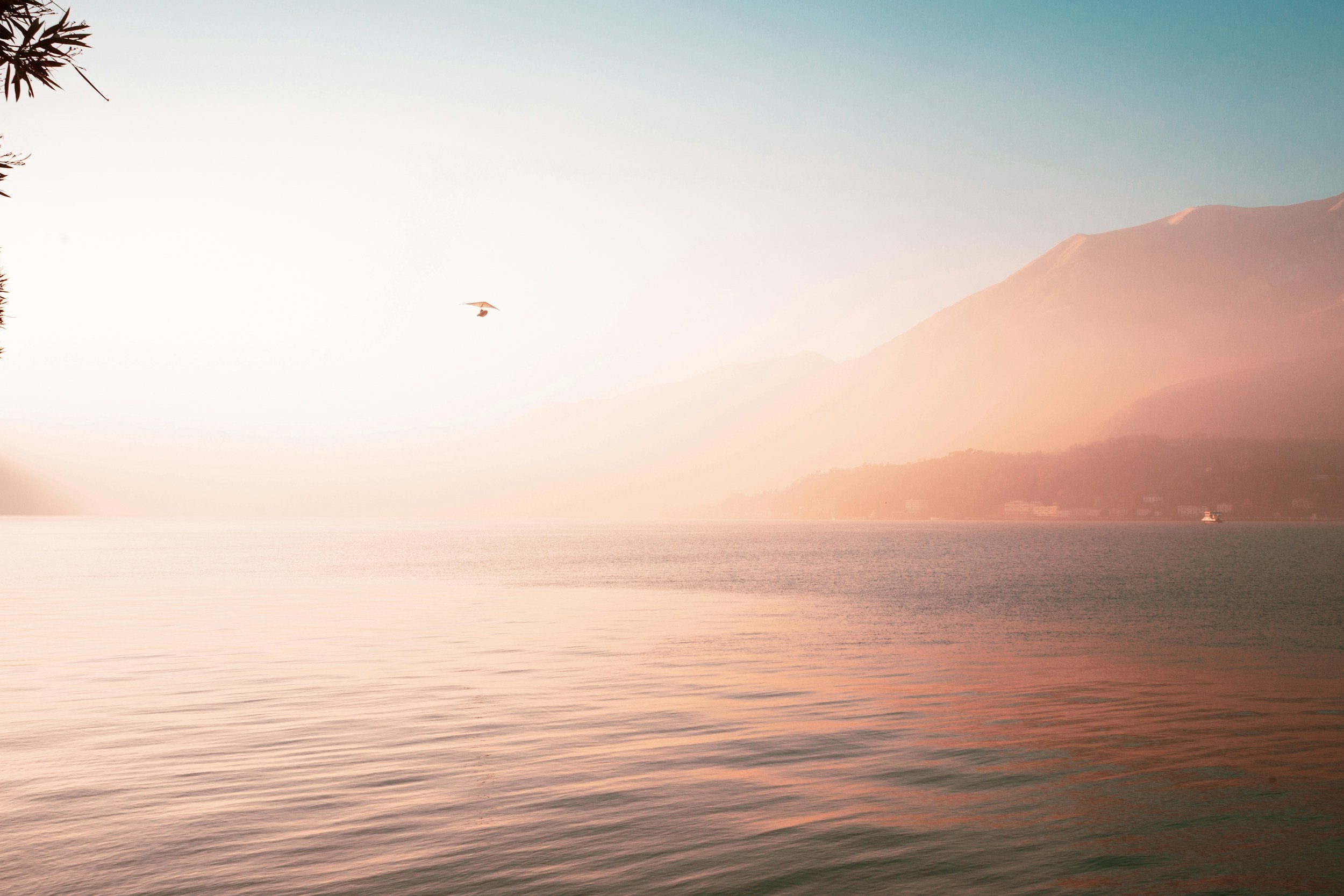 sunrise background