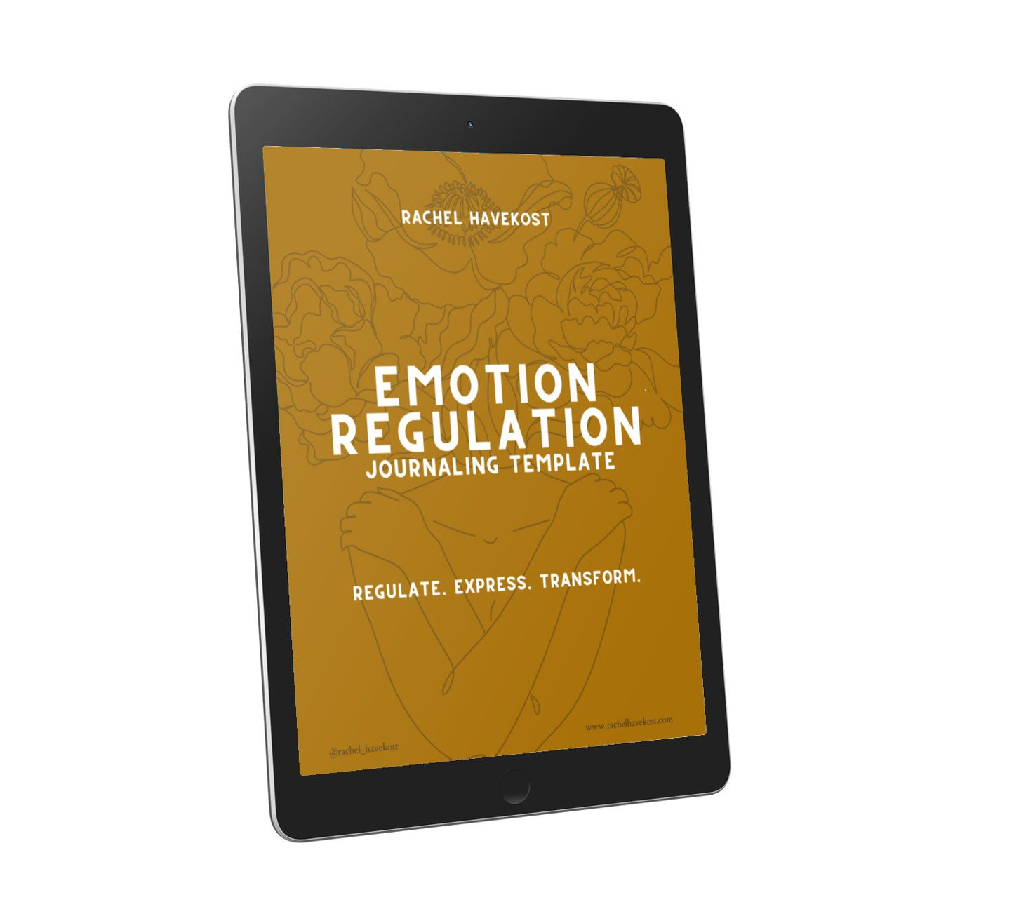 Emotion Regulation Workbook